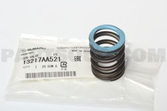 13217AA521 SPR-VALVE        EG