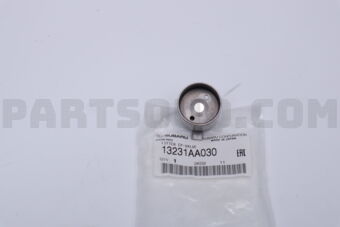 13231AA030 LIFTER CP-VALVE