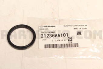 21236AA101 GSKT-THERMO