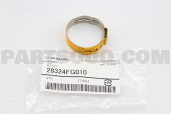 28324FG010 BAND