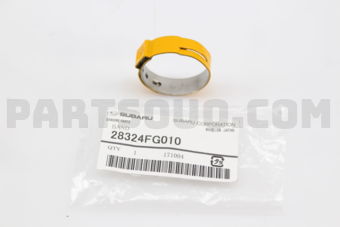28324FG010 BAND