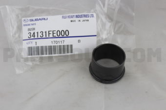 34131FE000 BUSH