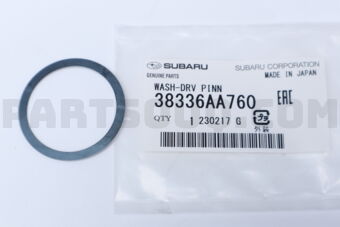 38336AA760 WASH-DRV PINN