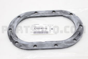 42025AE110 GASKET