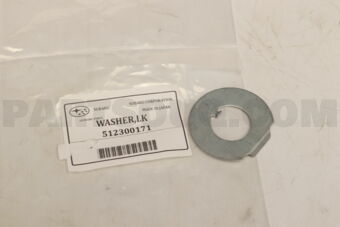 512300171 # SPD # WASHERLK