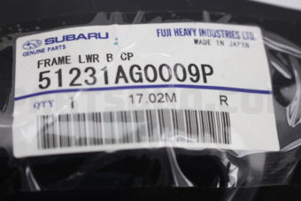 51231AG0009P FRAME LWR B CP