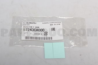 57243CA000 PROTECTOR F HOOD