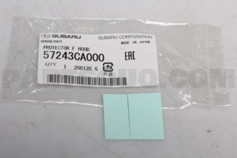 57243CA000 PROTECTOR F HOOD