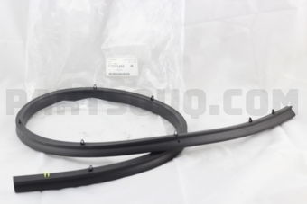 57252FE010 SEAL F PANEL