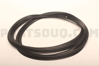 57532CA000 WSTR TRUNK