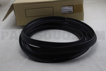 57532FG000 WSTR TRUNK