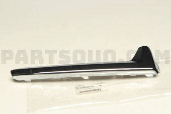 57708SG010 MOLDING BMPR F