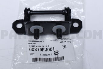 60879FJ001 HINGE ASSY DR R G
