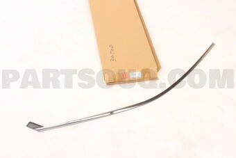 61186SJ020 MOLDING DR SASH FRH