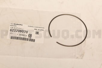 623206070 CIR CLIP,D.O.J