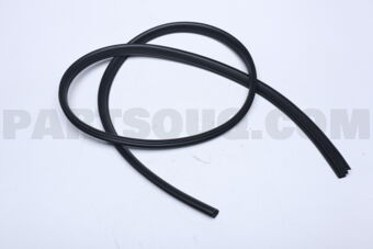 63572VA000 WSTR BODY SD FLG R