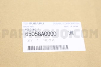 65058AG000 MOLDING F