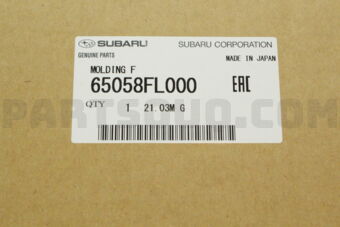 65058FL000 MOLDING F