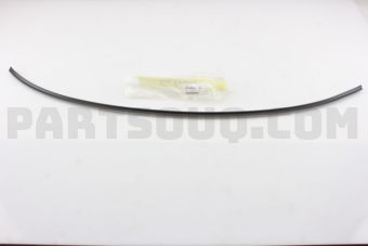 65123FA010 MOLDING R LOWR