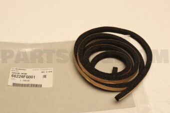 66226FG001 CUSHION INPANE