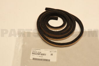 66226FG001 CUSHION INPANE