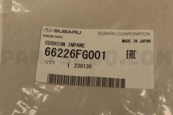 66226FG001 CUSHION INPANE