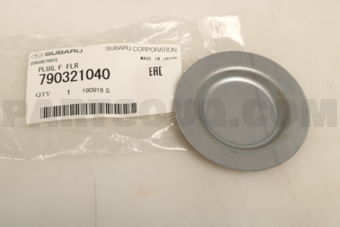 790321040 PLUG,F FLR