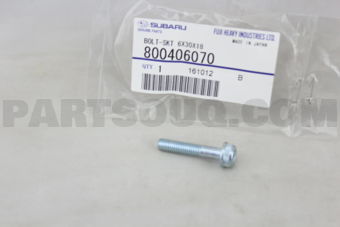800406070 BOLT-SKT 6X30X18