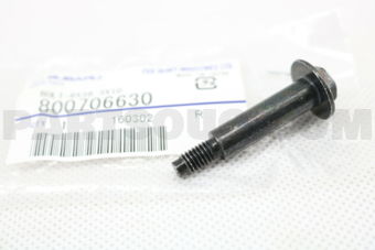 800706630 BOLT-6X39.3X10
