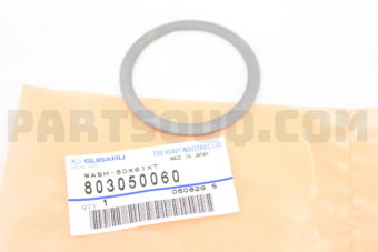 803050060 WASH-50X61XT