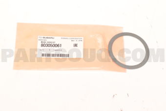 803050061 WASH-50X61XT