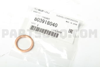 803918040 GSKT-18X24X2