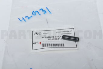804006210 STRAIGHT PIN,6X22