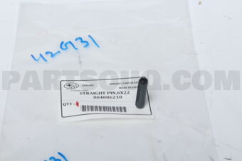 804006210 STRAIGHT PIN,6X22