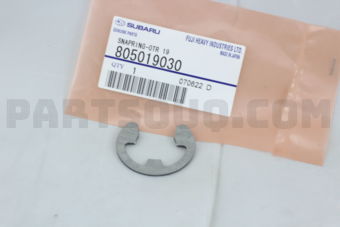 805019030 SNAPRING-OTR 19