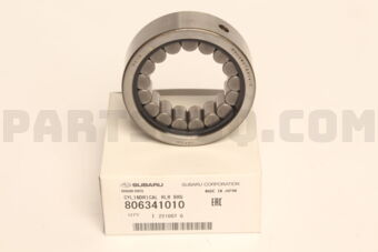 806341010 CYLINDRICAL RLR BRG