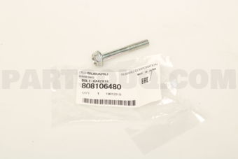 808106480 BOLT-6X42X18