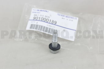 901000189 BOLT FLG 6X20