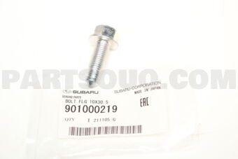 901000219 BOLT FLG 10X30.5
