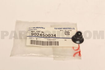 902450034 NUT CAP M6
