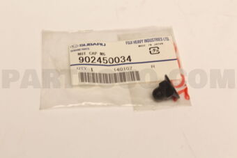 902450034 NUT CAP M6
