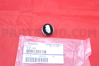 909130119 CLIP 12X8