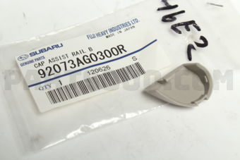 92073AG030OR CAP ASSIST RAIL B