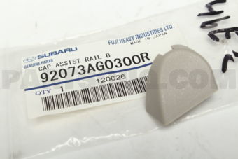 92073AG030OR CAP ASSIST RAIL B