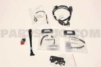 H461EAN100 OUTBACK 21MY LEG TAILGATE LLLUMINATION