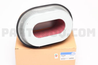 SFA0484 AIRFILTER