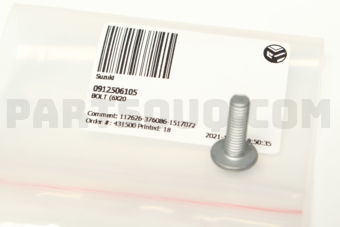 0912506105 BOLT (6X20)