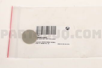 09409063106GS CAP, ASSISTANT GRIP HOLE,(GRAY)