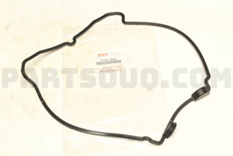 1118978G01 GASKET