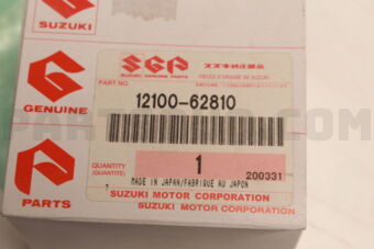 1210062810 PISTON SET